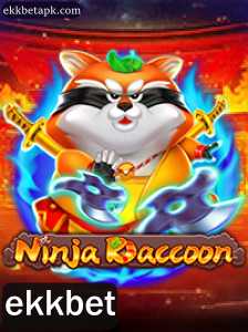 Descobrindo o Universo de NinjaRaccoon: Uma Aventura Única